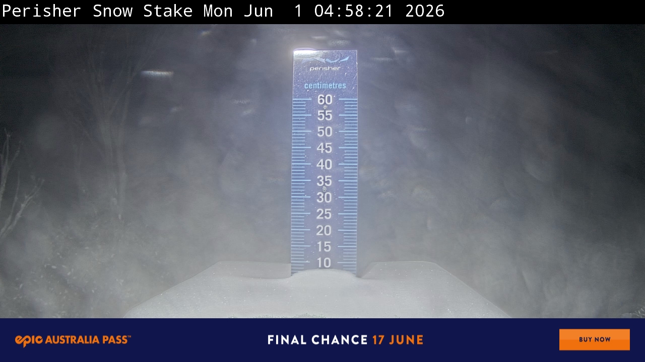 Snow Stake