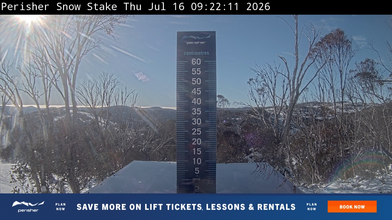Snow Stake