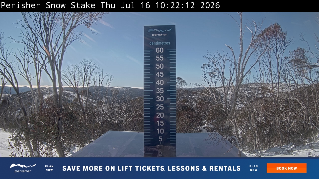 Snow Stake