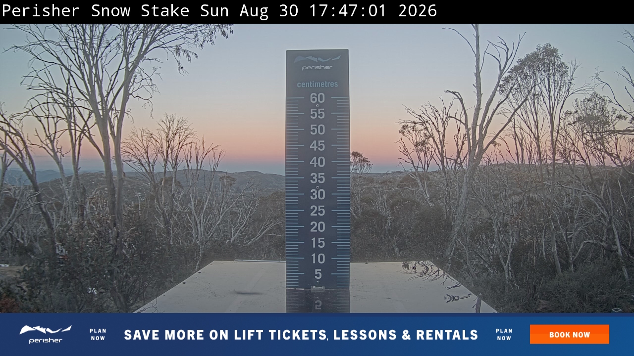 Snow Stake