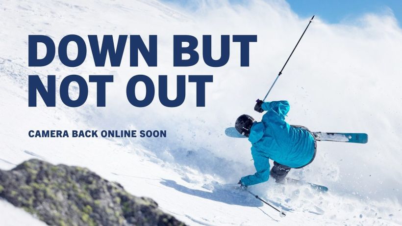 Snow Stake (Blue Cow)