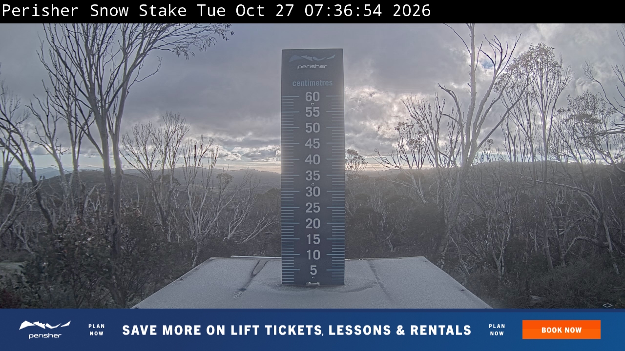 View full-screen Snow Stake