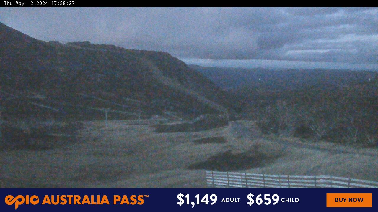 Blue Cow | Perisher cams