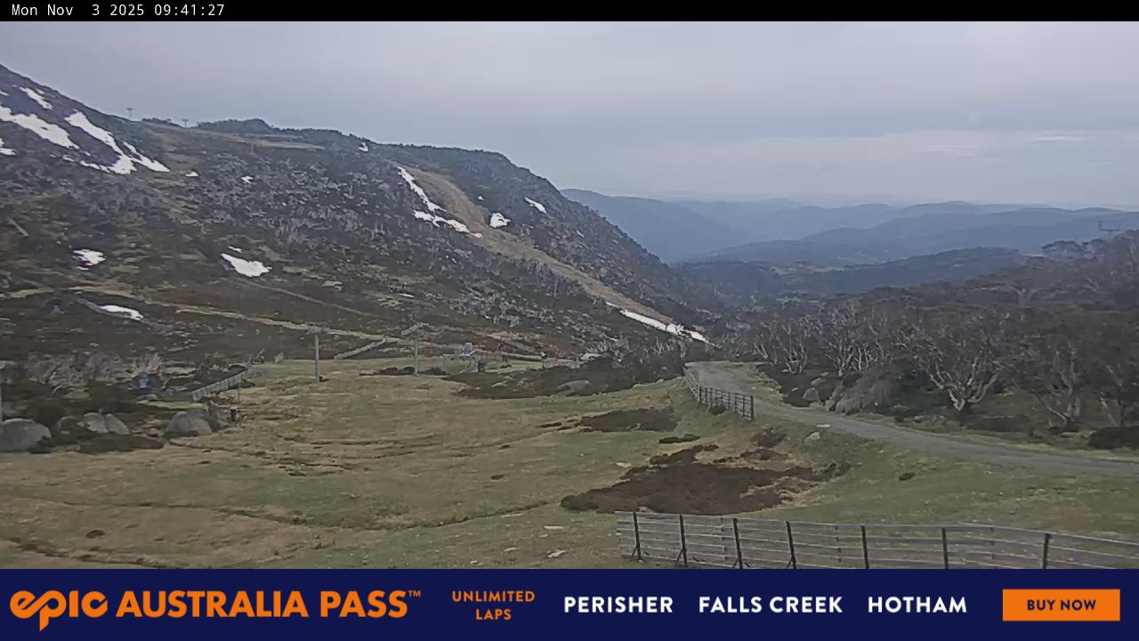 View full-screen Blue Cow