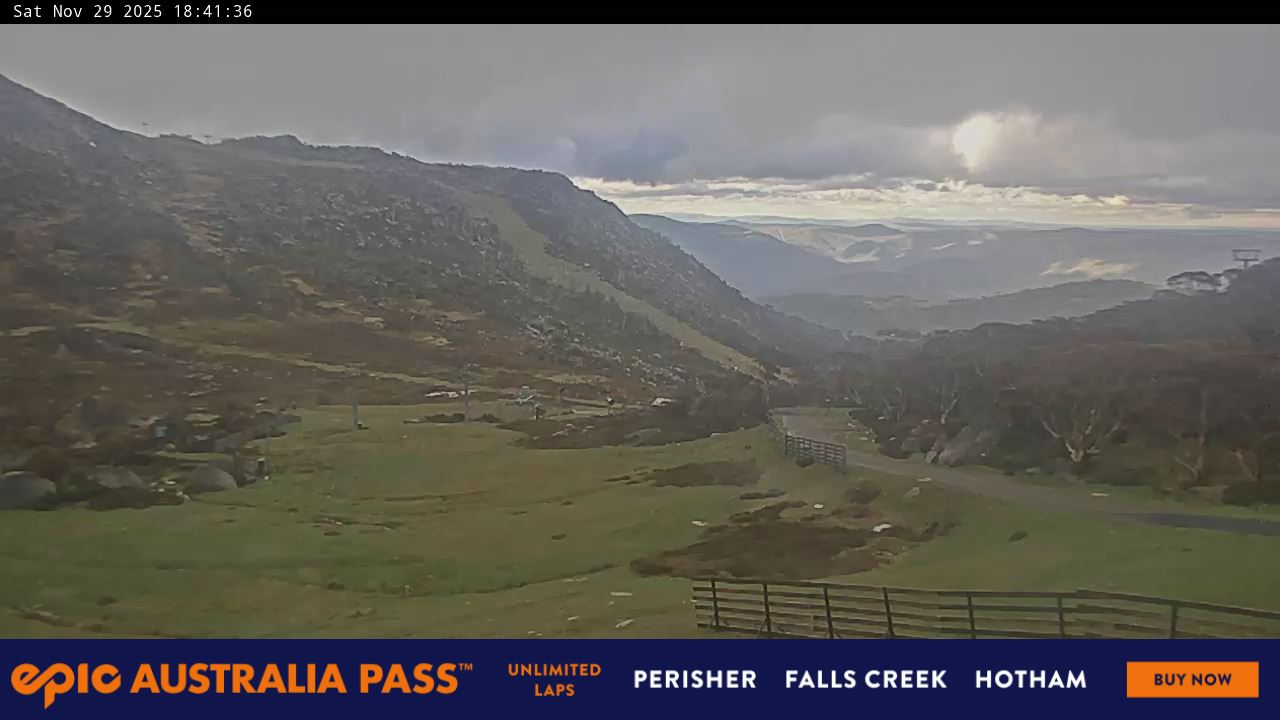 View full-screen Blue Cow