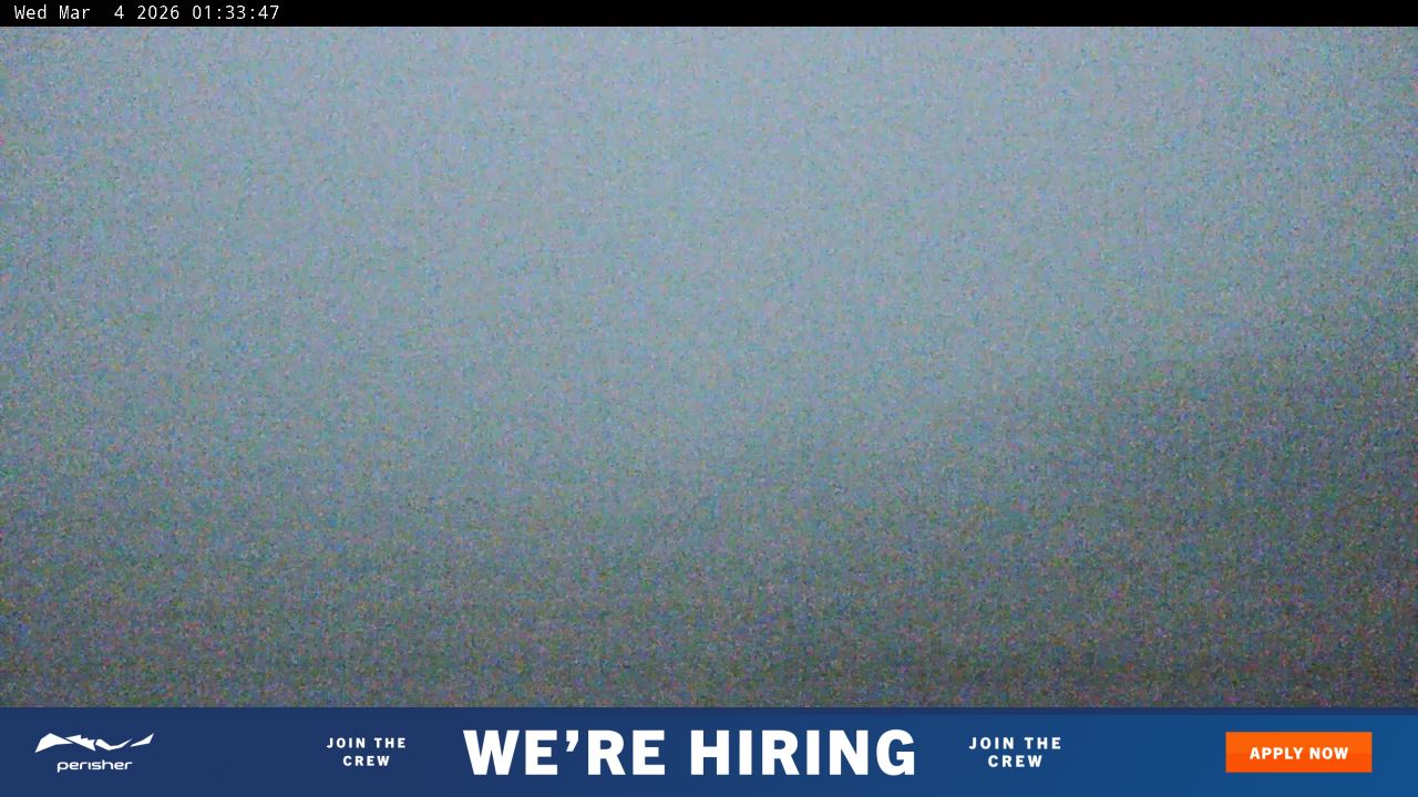 View full-screen Blue Cow