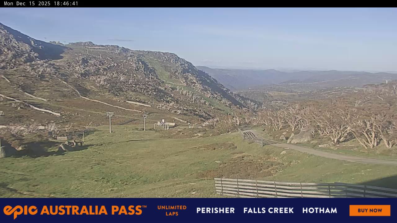 View full-screen Blue Cow