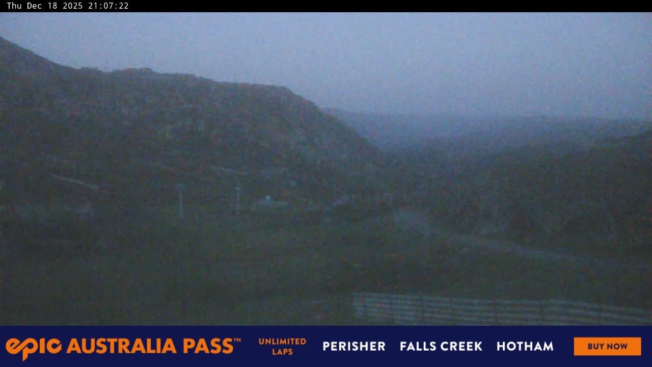 View full-screen Blue Cow