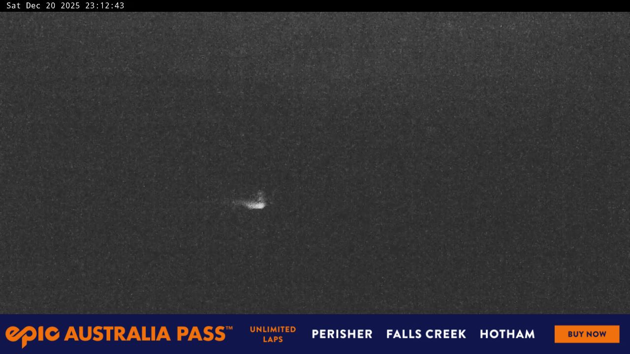 View full-screen Blue Cow