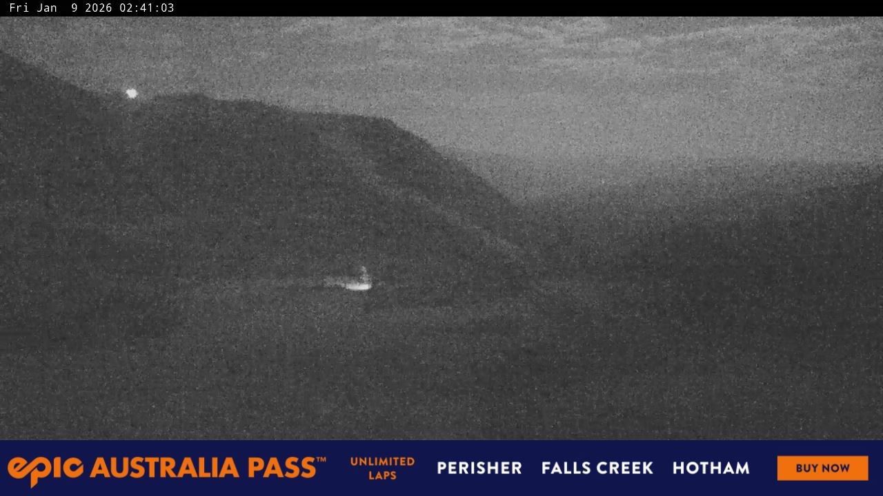 View full-screen Blue Cow