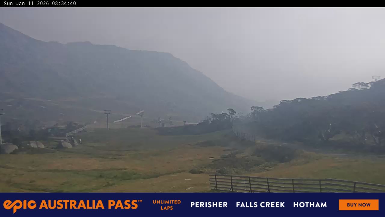 View full-screen Blue Cow