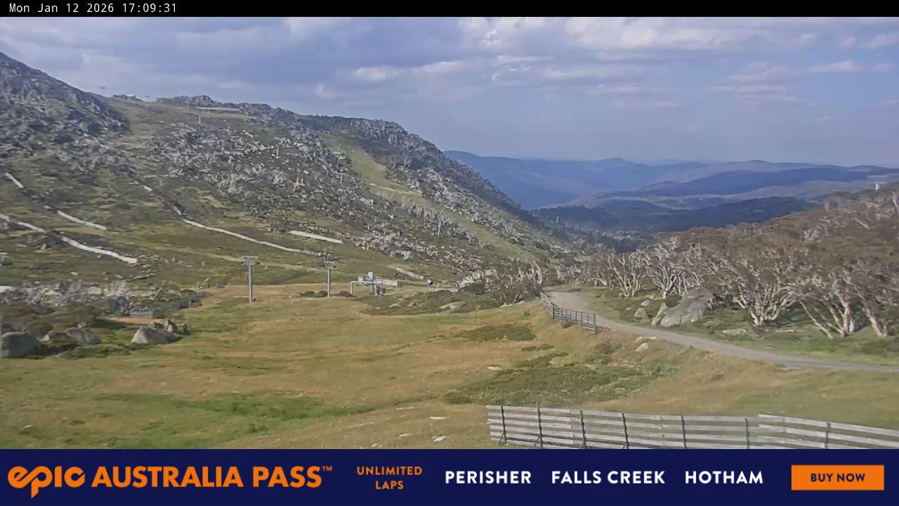 View full-screen Blue Cow