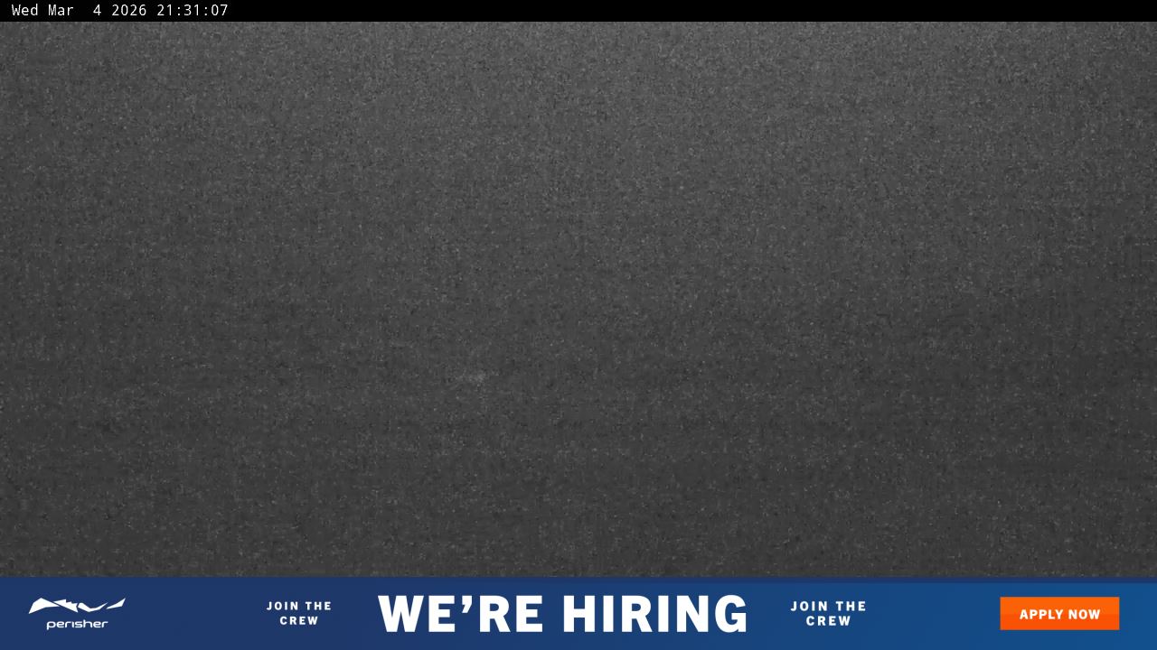 View full-screen Blue Cow