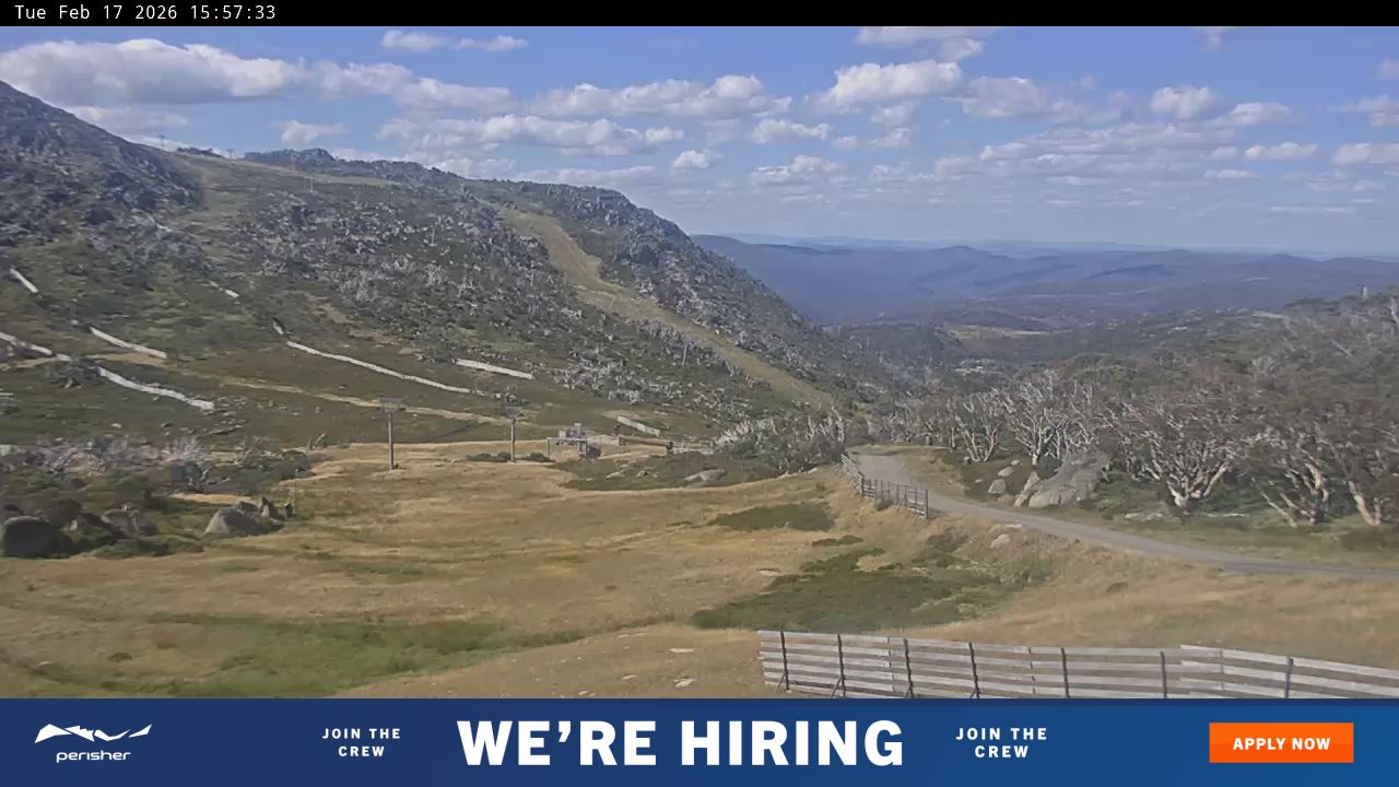 View full-screen Blue Cow