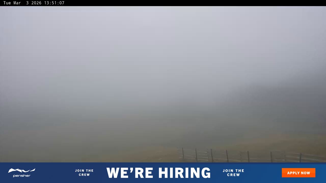 View full-screen Blue Cow