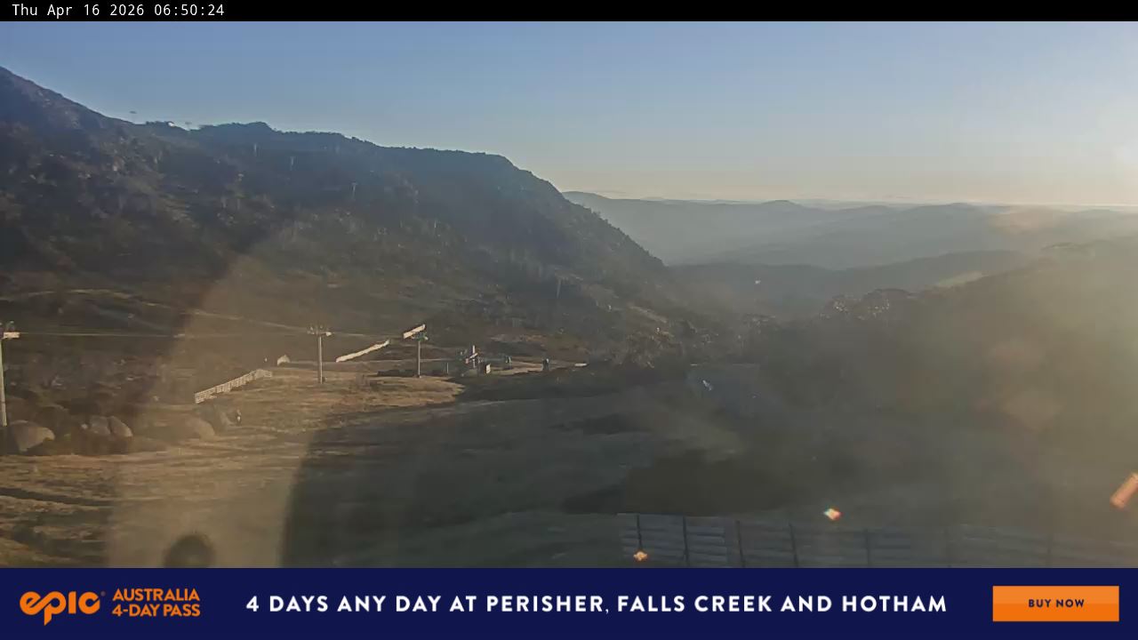 View full-screen Blue Cow