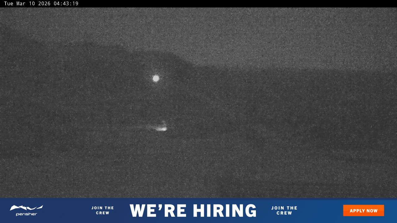 View full-screen Blue Cow