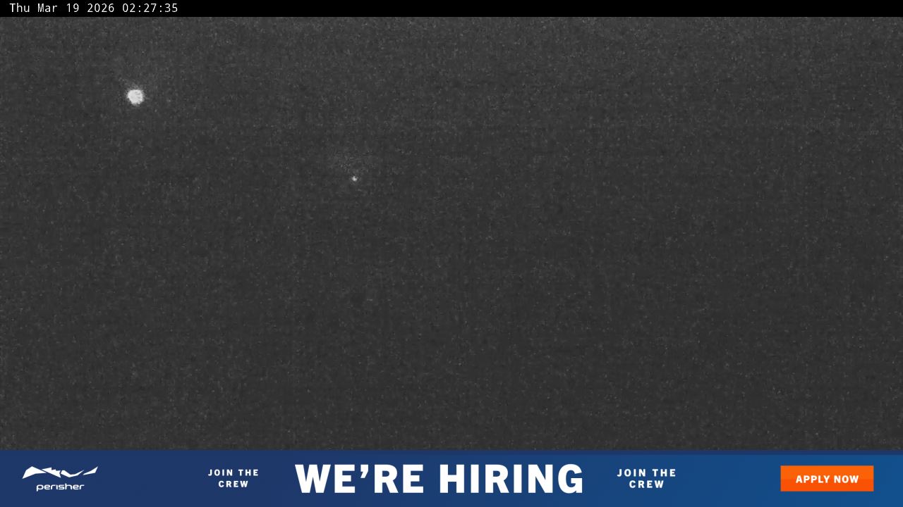 View full-screen Blue Cow