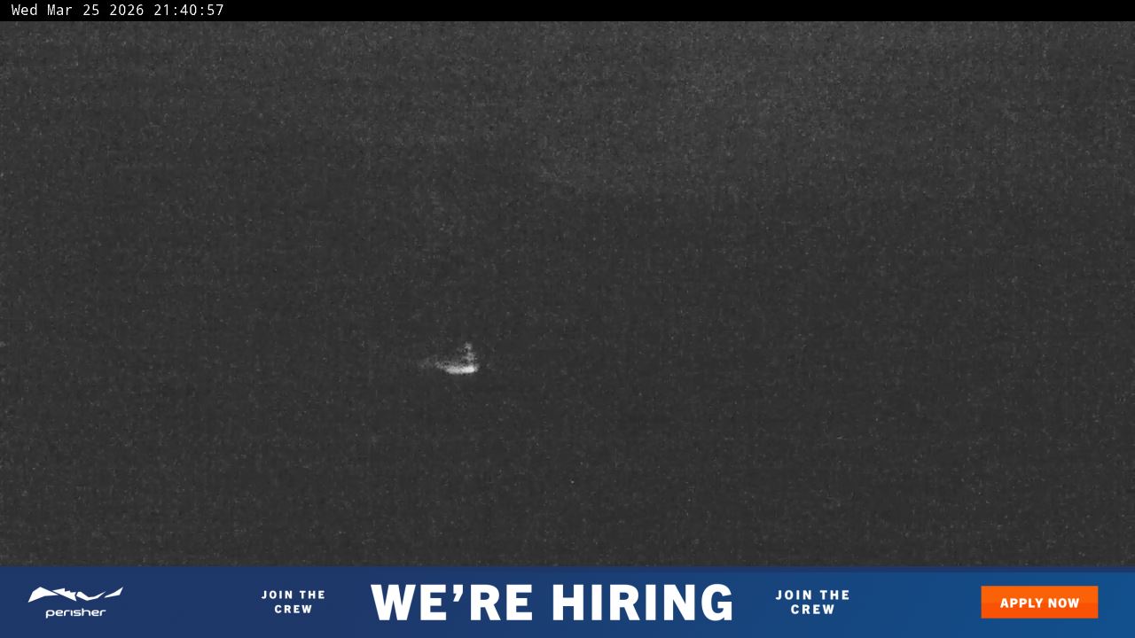 View full-screen Blue Cow