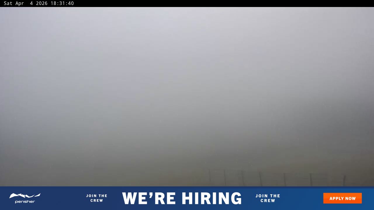 View full-screen Blue Cow