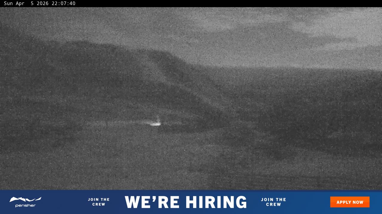 View full-screen Blue Cow