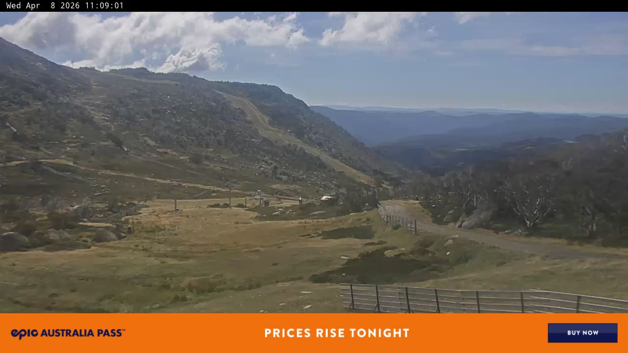 View full-screen Blue Cow