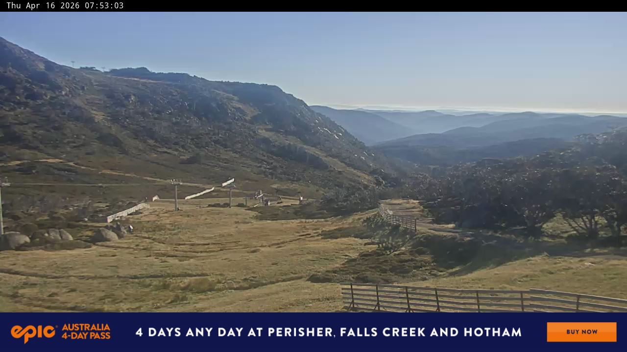 View full-screen Blue Cow