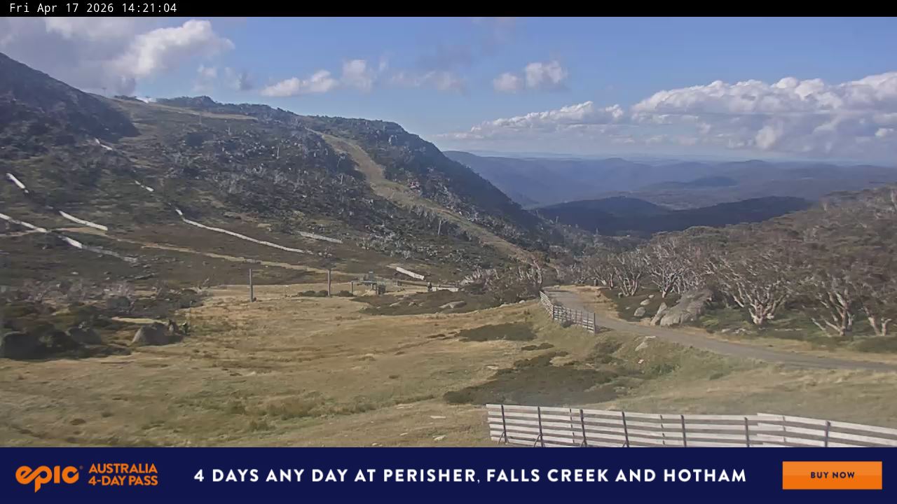 View full-screen Blue Cow