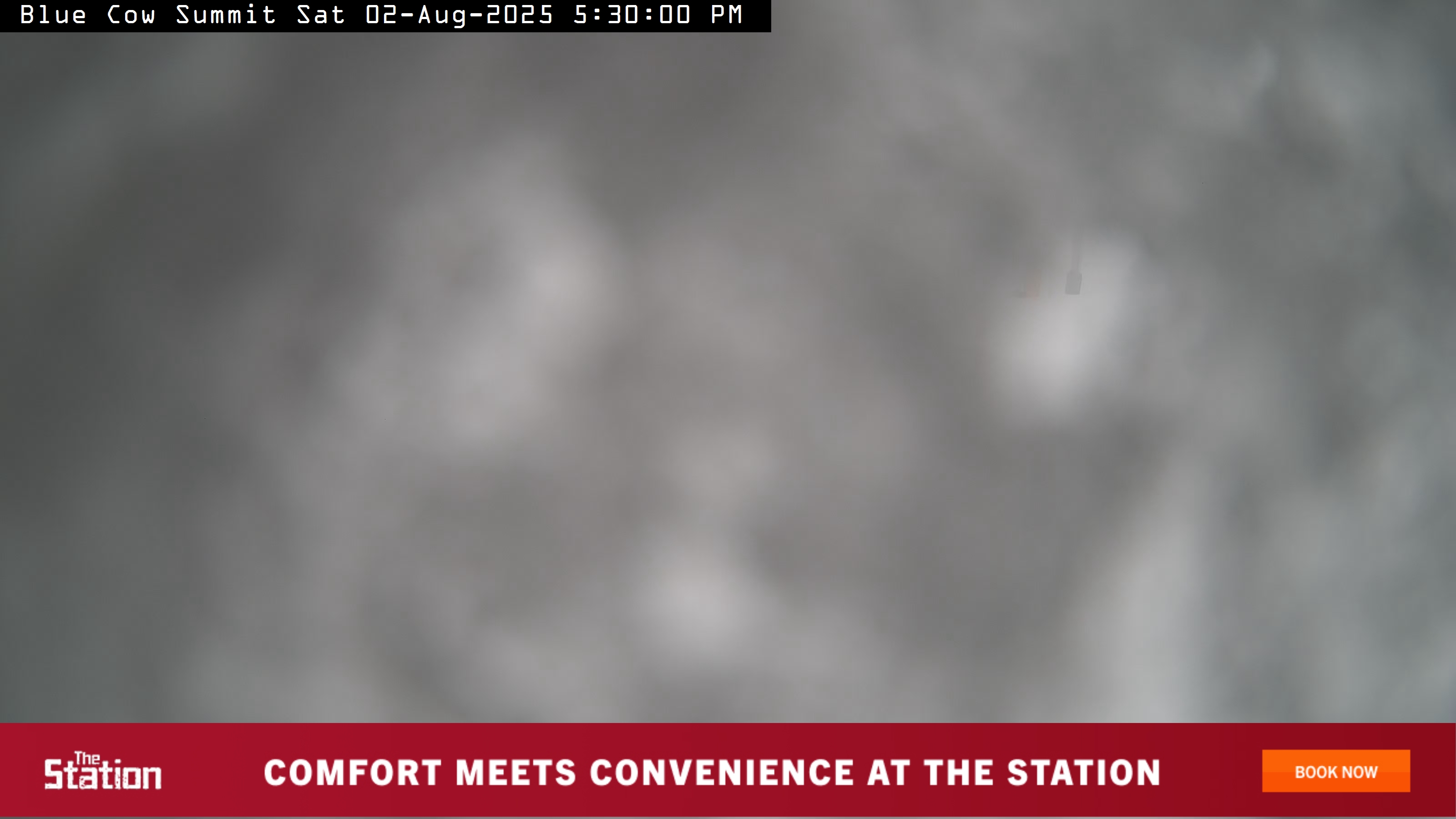 Blue Cow Summit