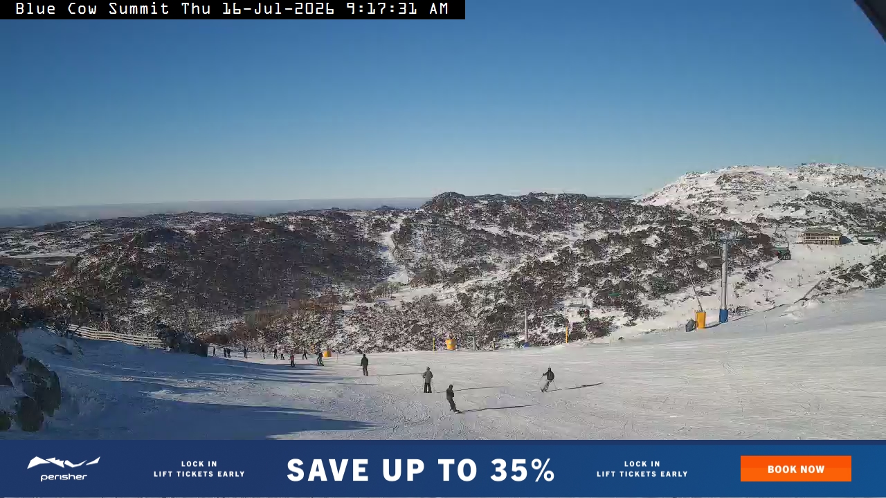 Blue Cow Summit