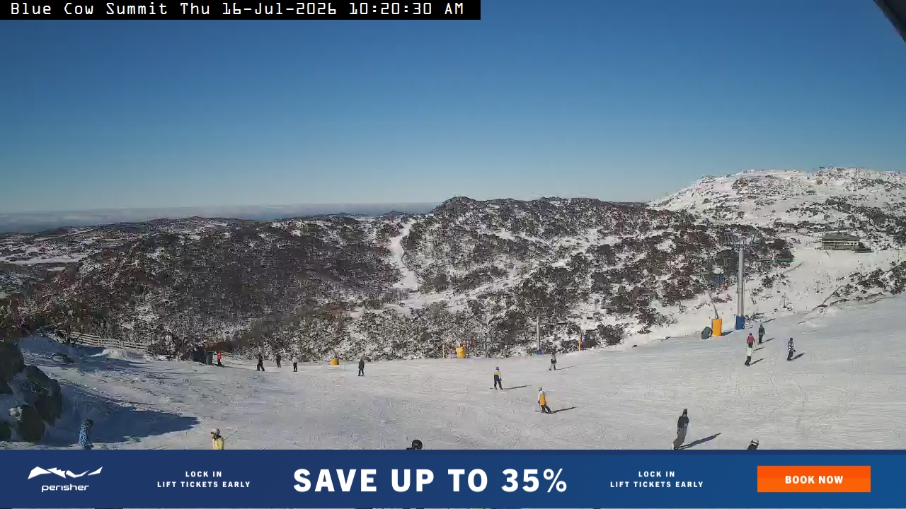 Blue Cow Summit