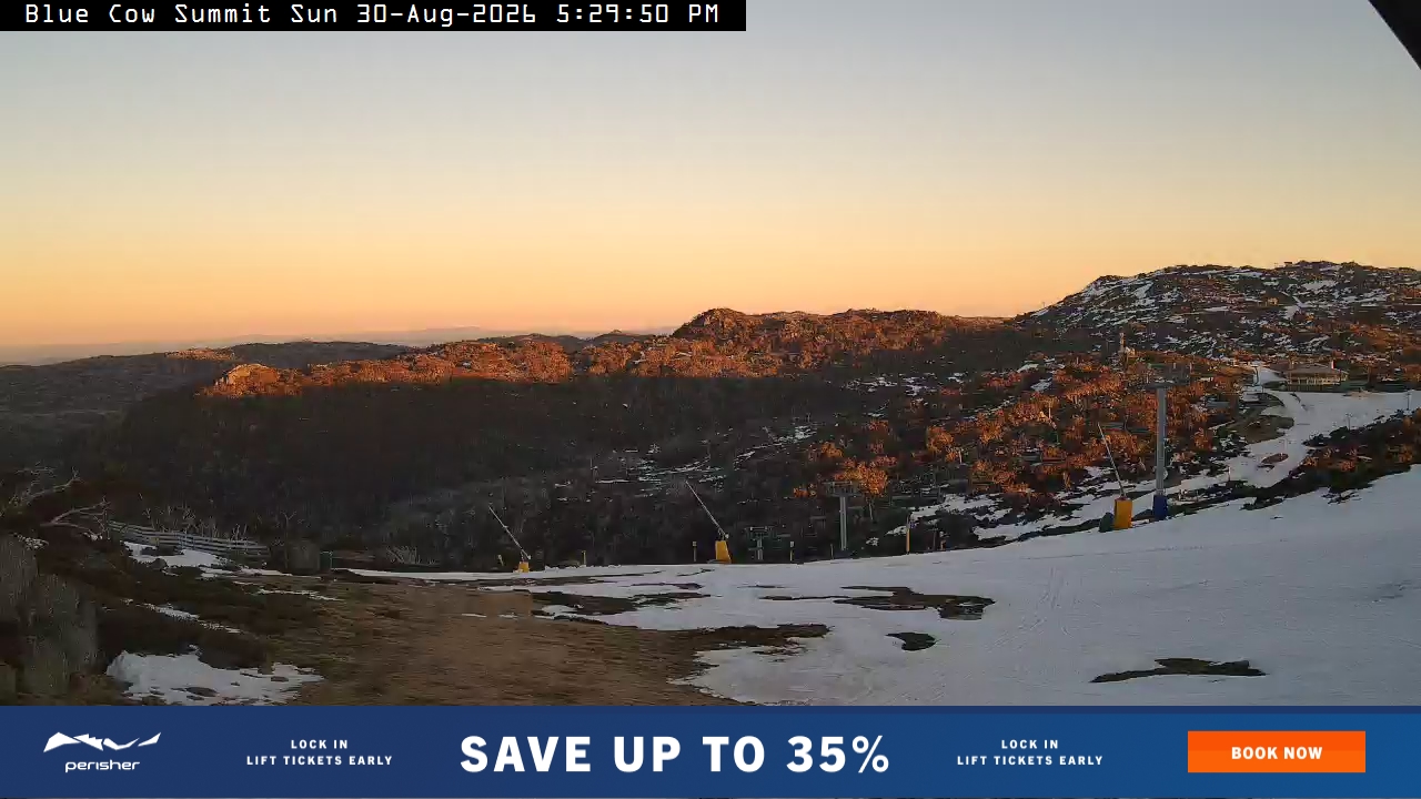Blue Cow Summit