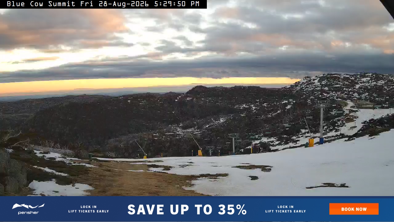Blue Cow Summit