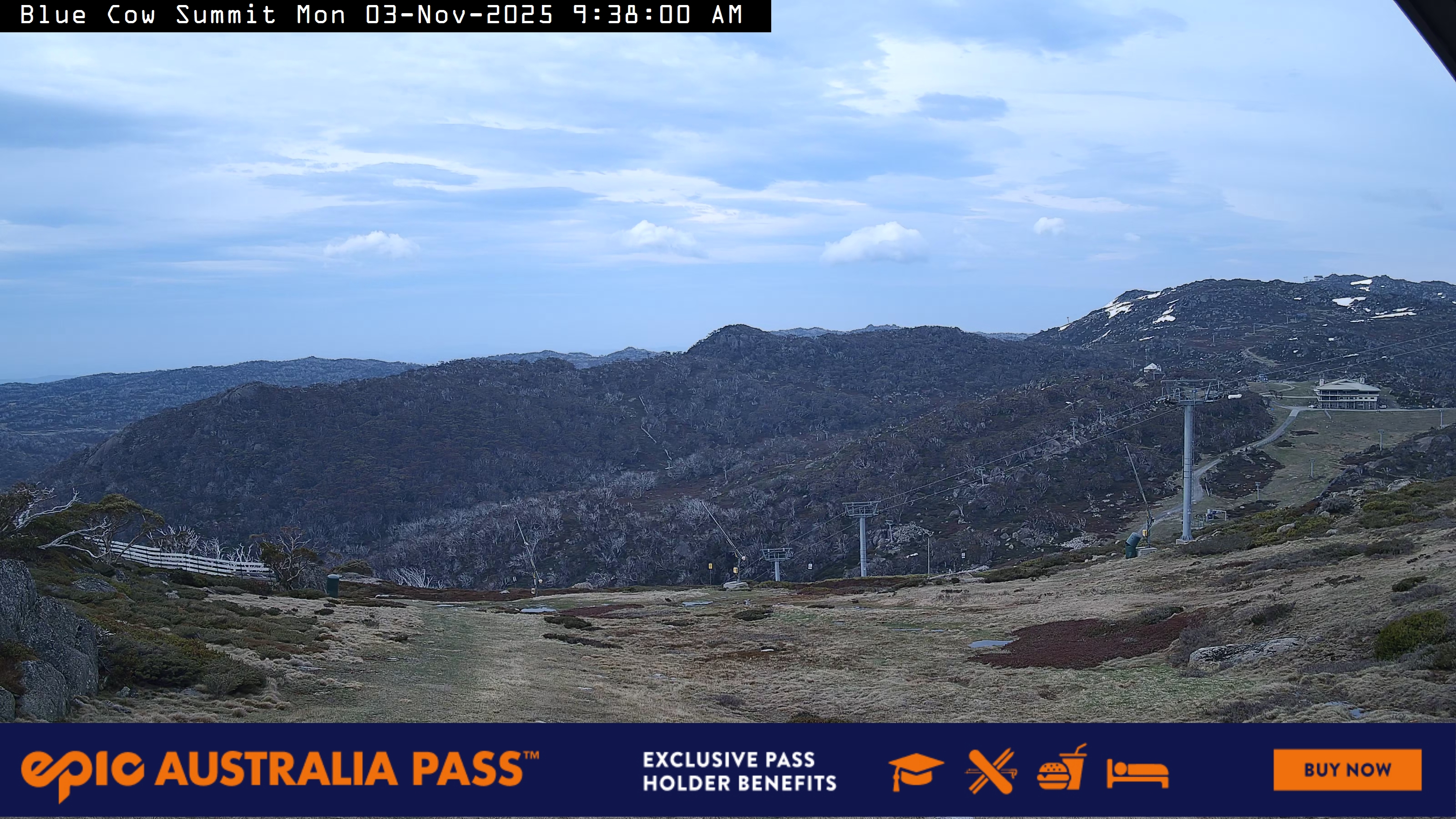 View full-screen Blue Cow Summit