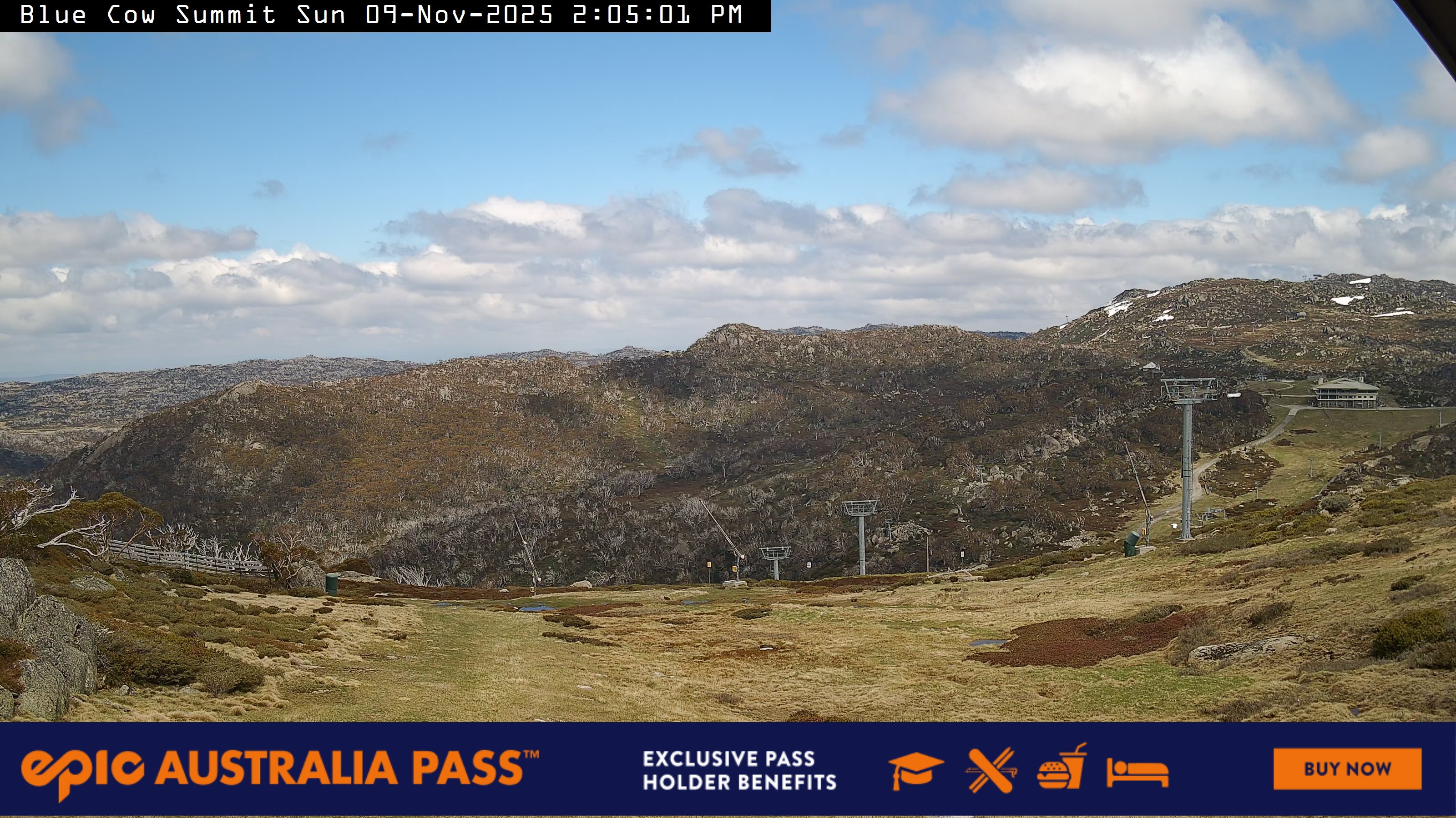 View full-screen Blue Cow Summit