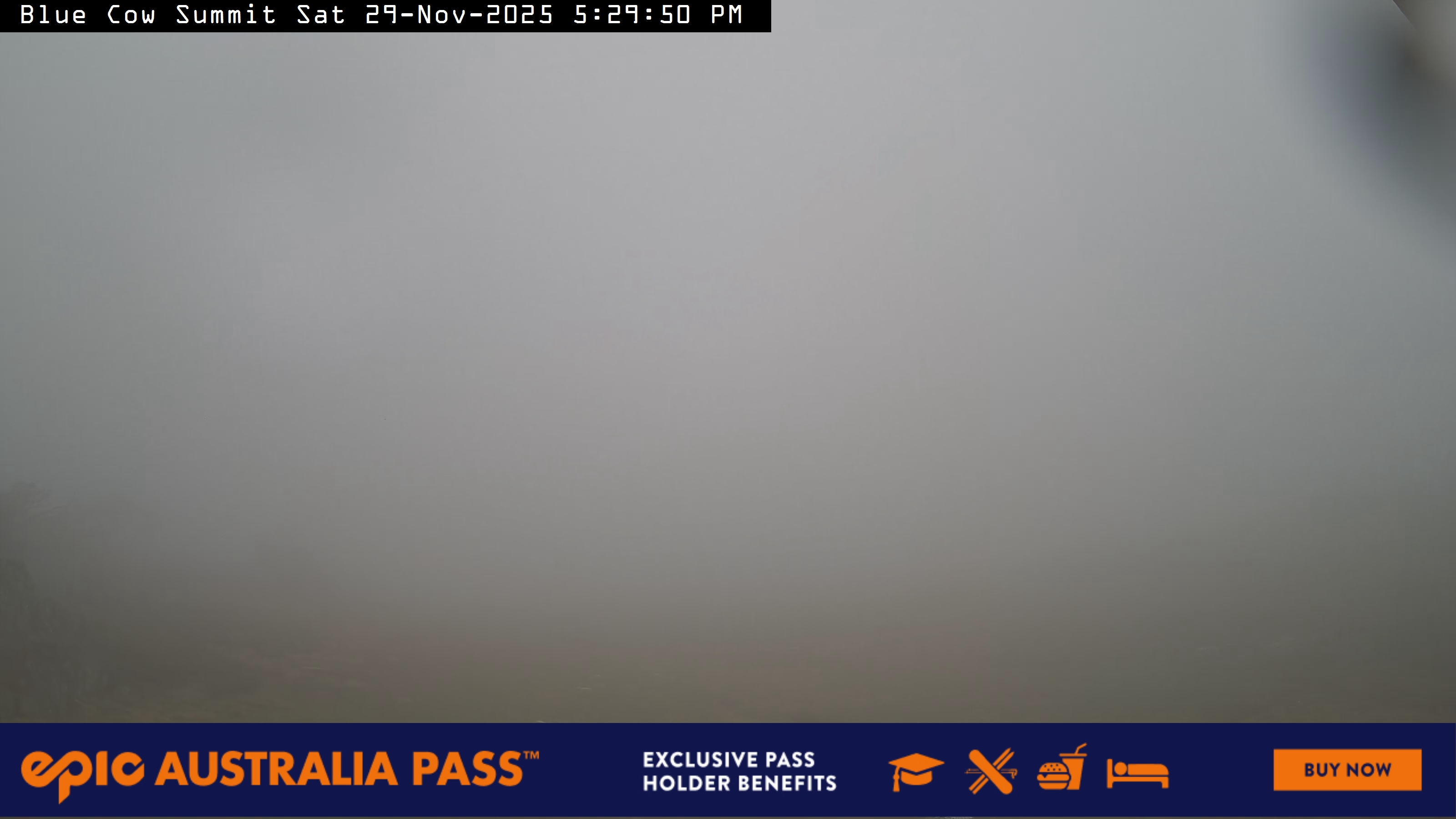 View full-screen Blue Cow Summit