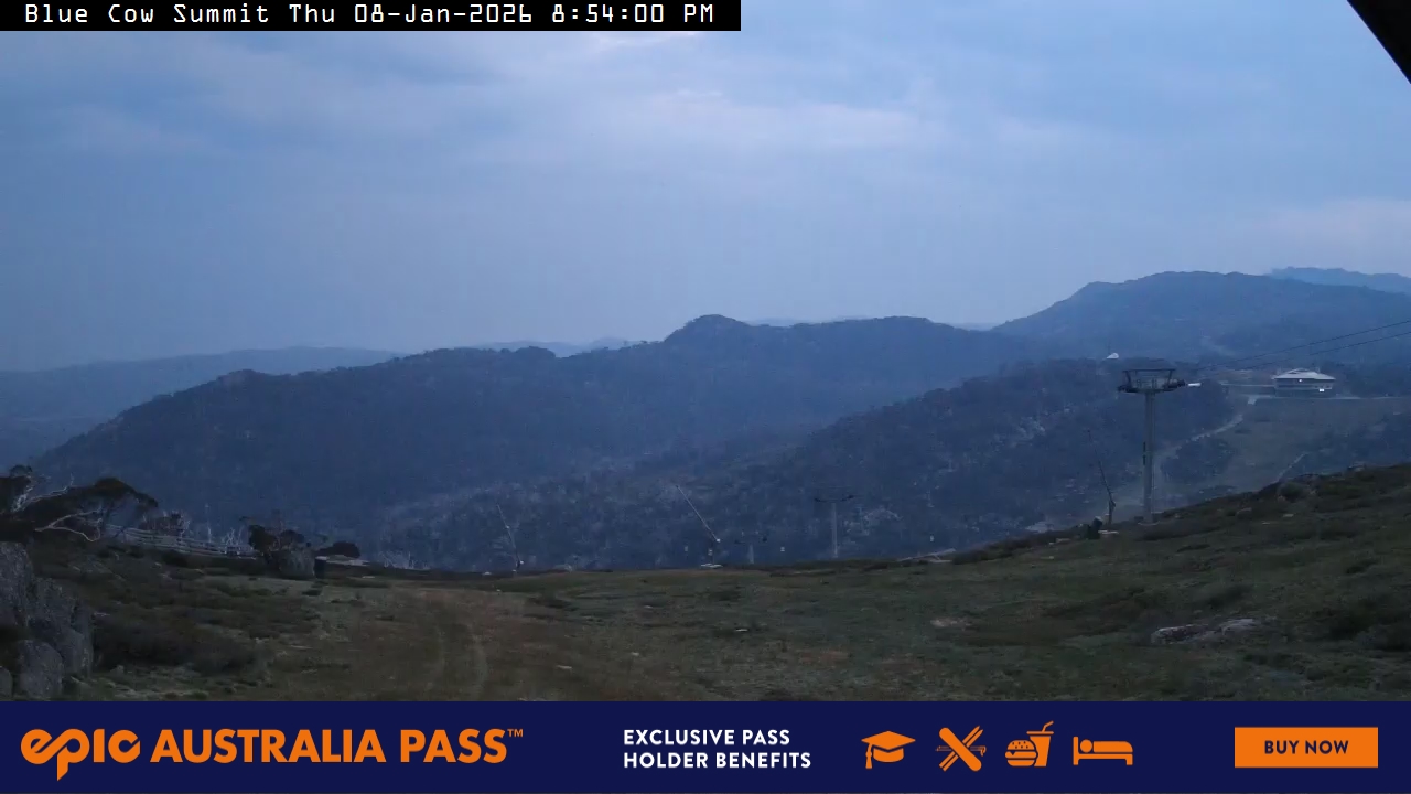 View full-screen Blue Cow Summit