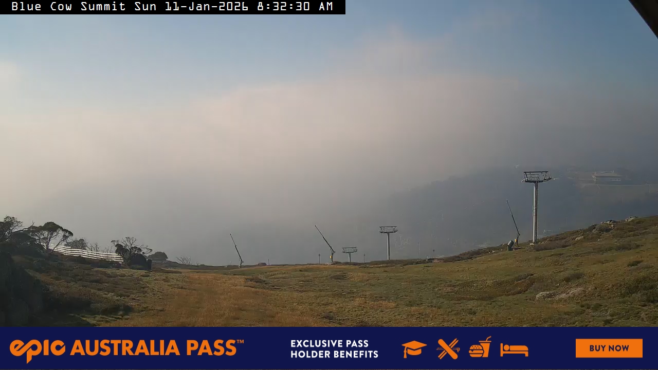 View full-screen Blue Cow Summit