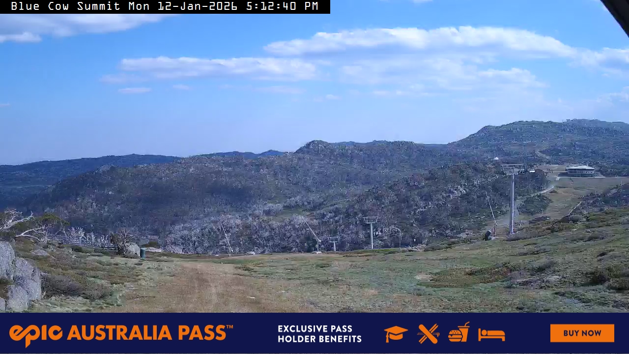 View full-screen Blue Cow Summit