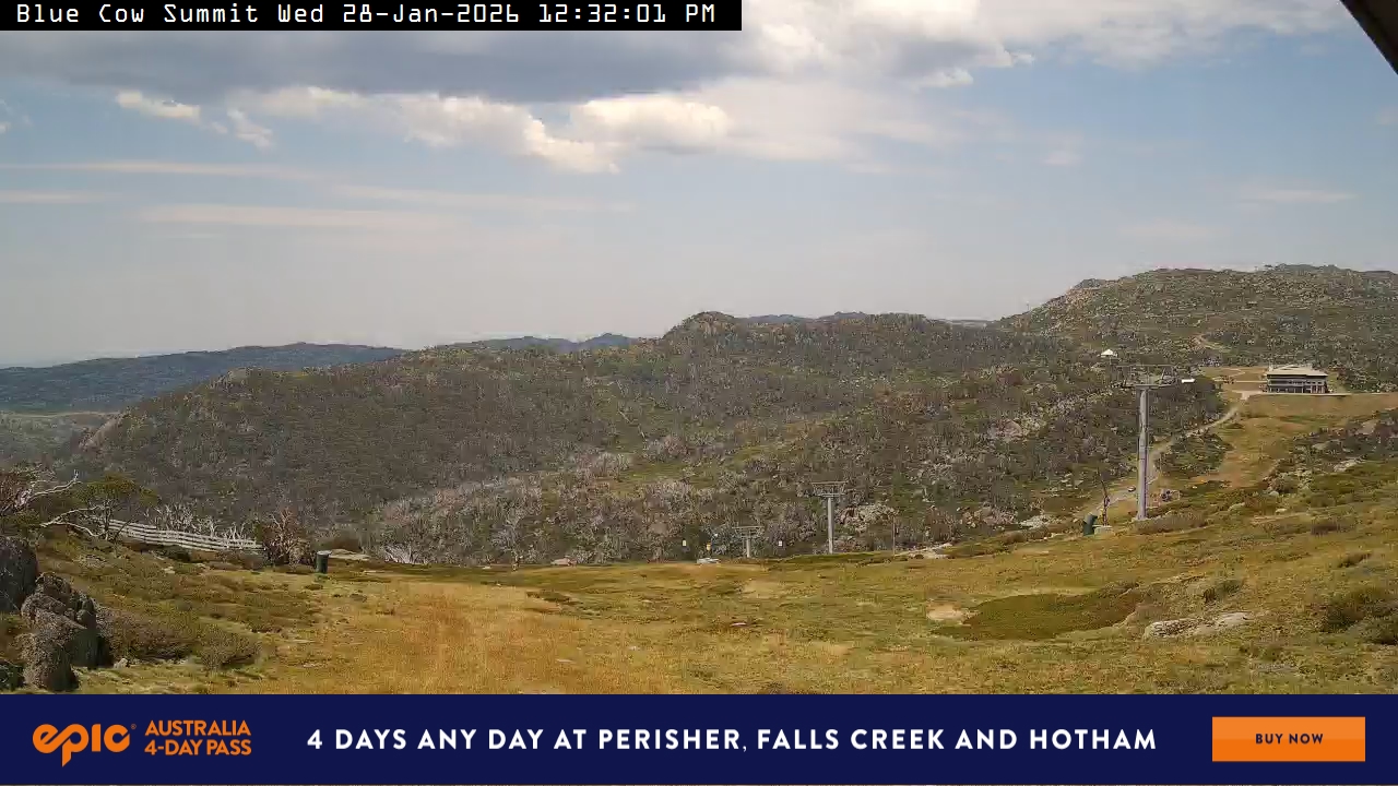 View full-screen Blue Cow Summit