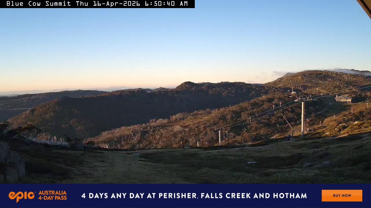 View full-screen Blue Cow Summit