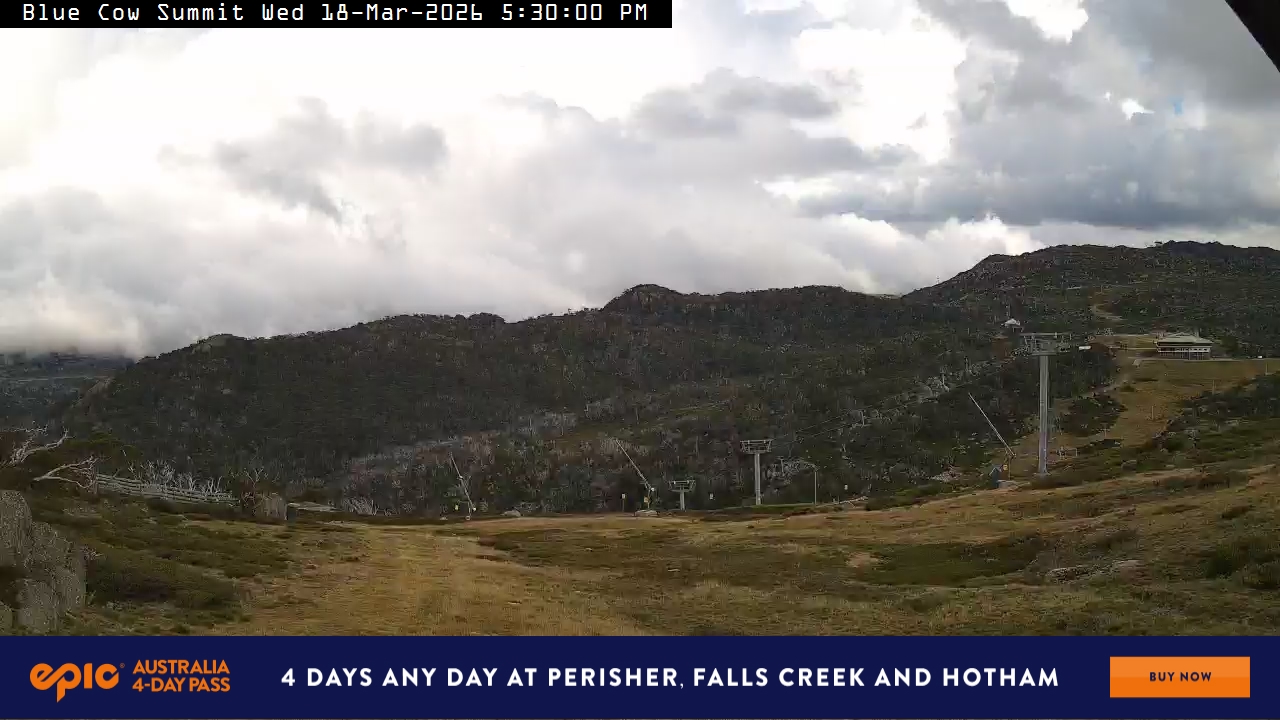 View full-screen Blue Cow Summit