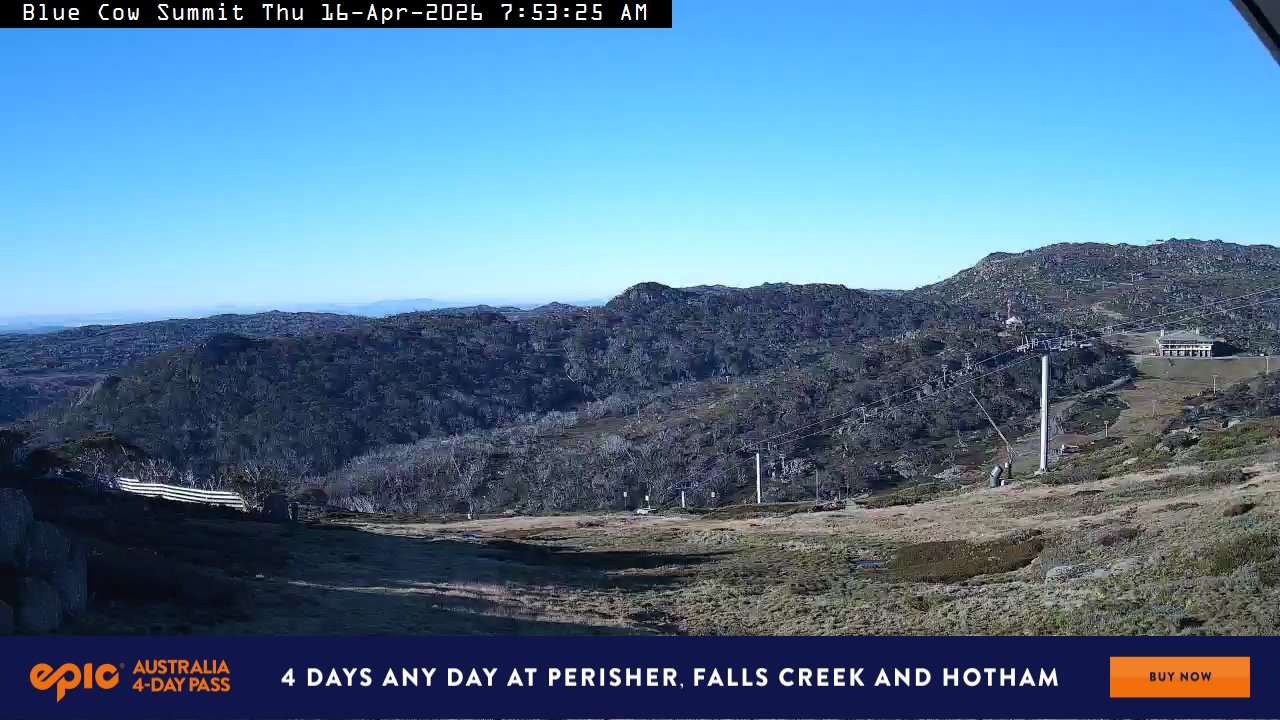 View full-screen Blue Cow Summit