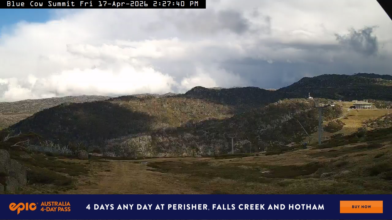 View full-screen Blue Cow Summit