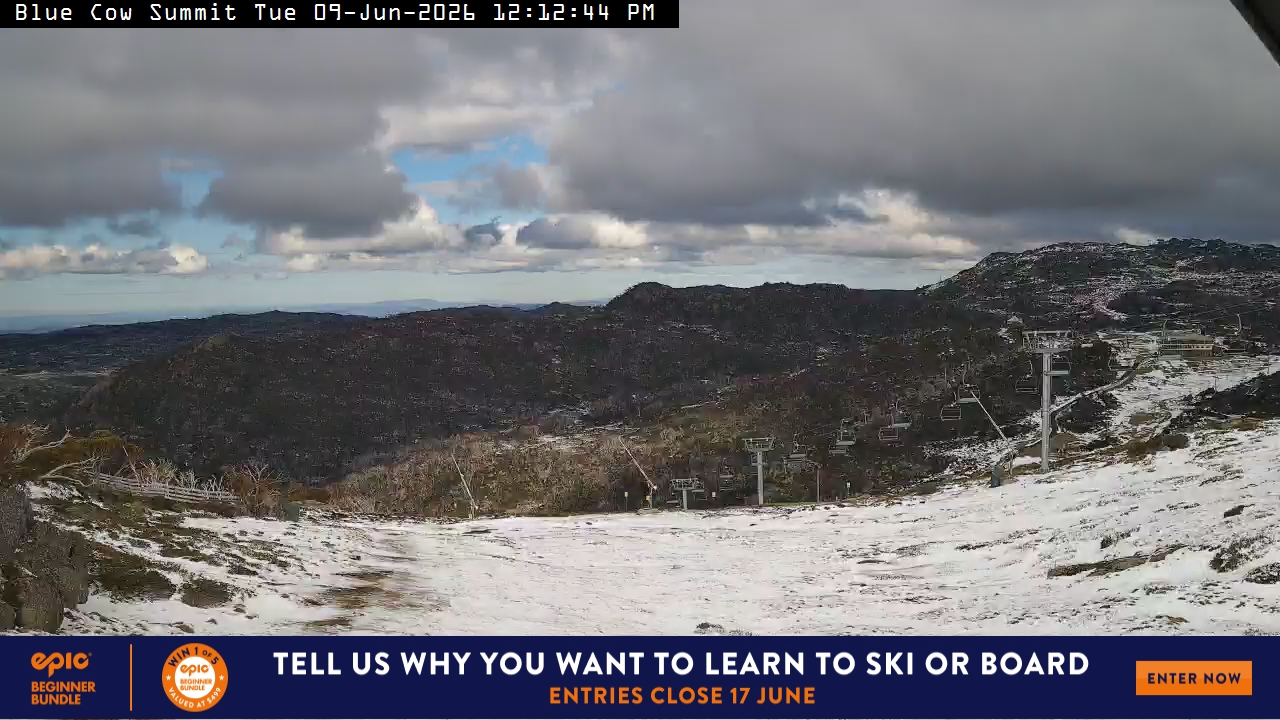 View full-screen Blue Cow Summit