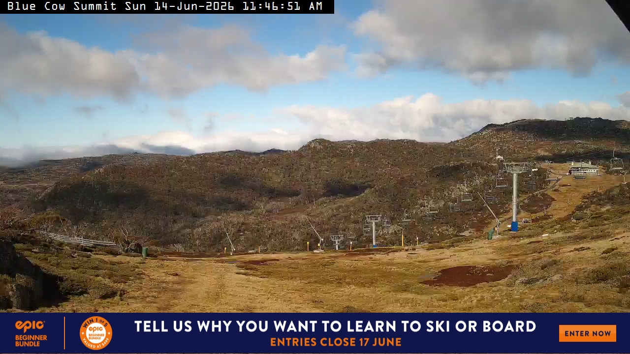 View full-screen Blue Cow Summit